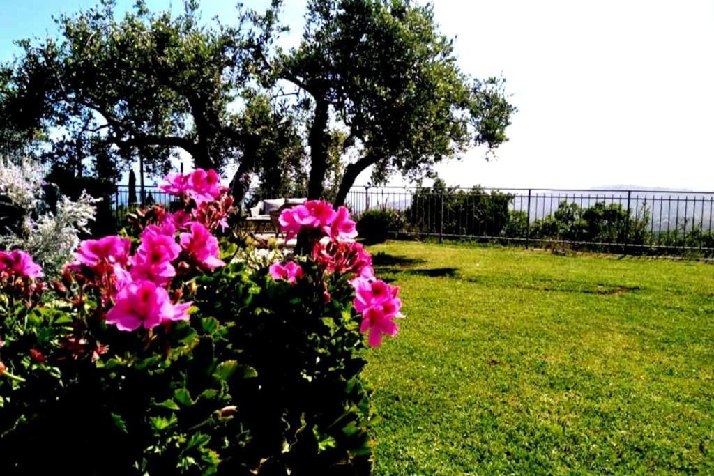 Vakantiehuis Casa Vista Mare - Superb Garden And Parking Included *
