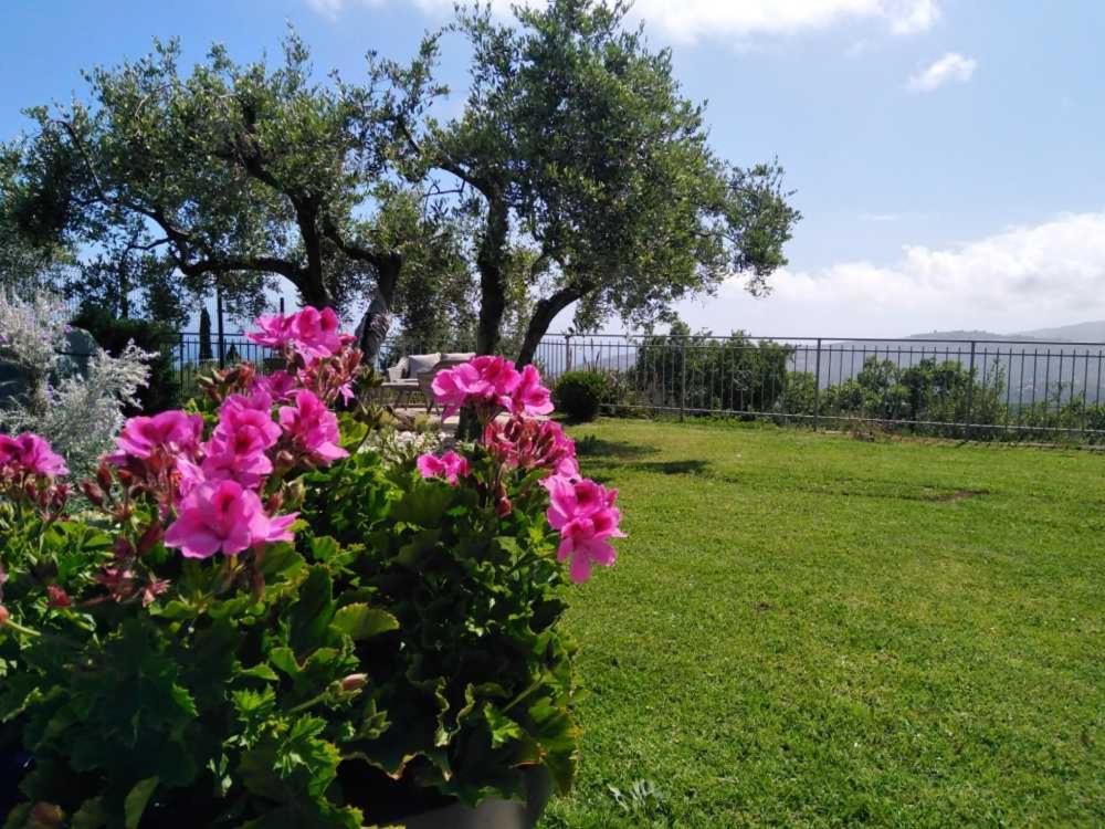Casa Vista Mare - Superb Garden And Parking Included Vakantiehuis