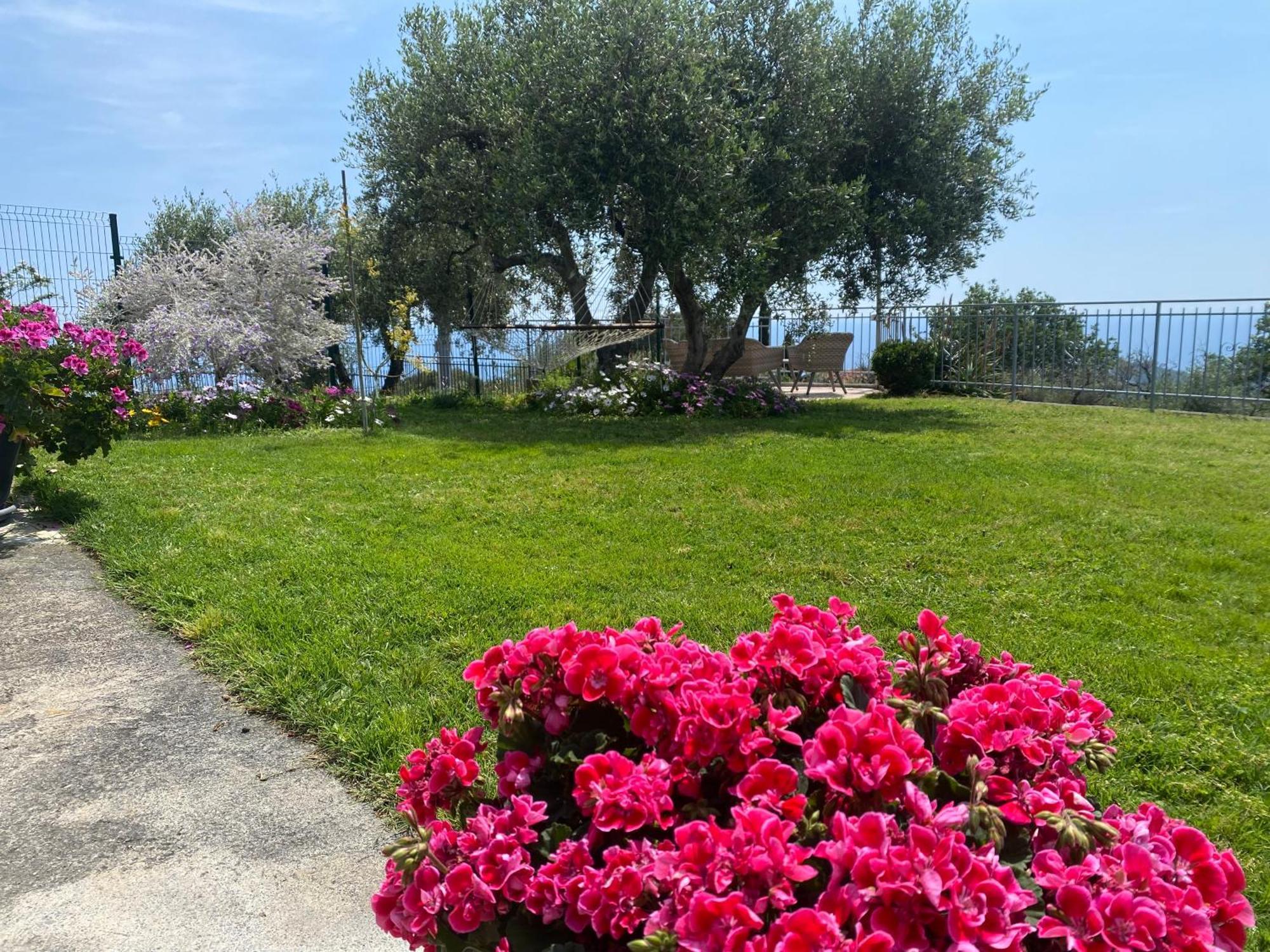 Casa Vista Mare - Superb Garden And Parking Included Imperia